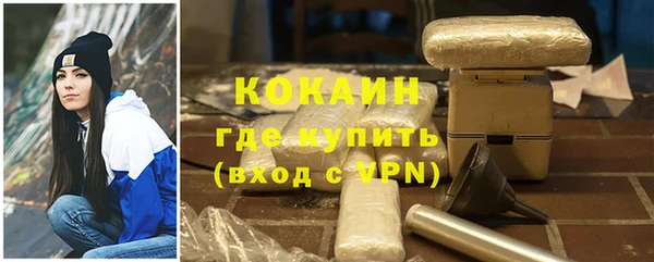 сатива Белокуриха