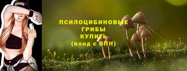 амф Белоозёрский