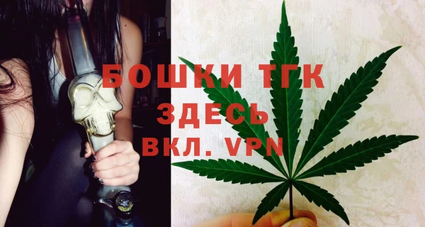 сатива Белокуриха